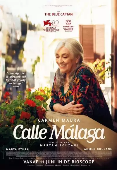CalleMalagaBLVD_134229903418509083_big-cine_deskt.webp