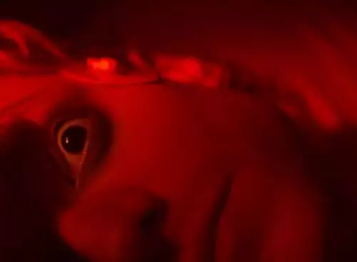 Clayface16_134362725348037902_big-cine_deskt.webp
