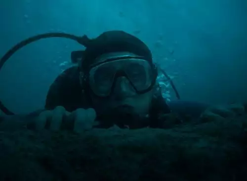 Whalefall_134356665153553873_big-cine_deskt.webp