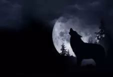 Horror Night hoofdafbeelding